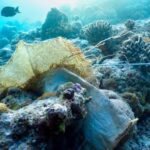 Scientists Discover Plastic Permanently Fused With Coral