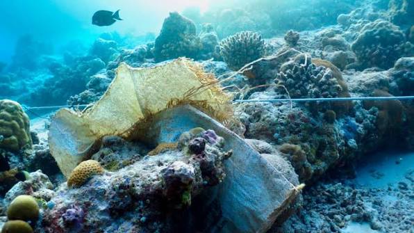 Plastic pollution